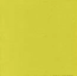 Serviette AirLaid PLUS 40x40 1/4 Olive